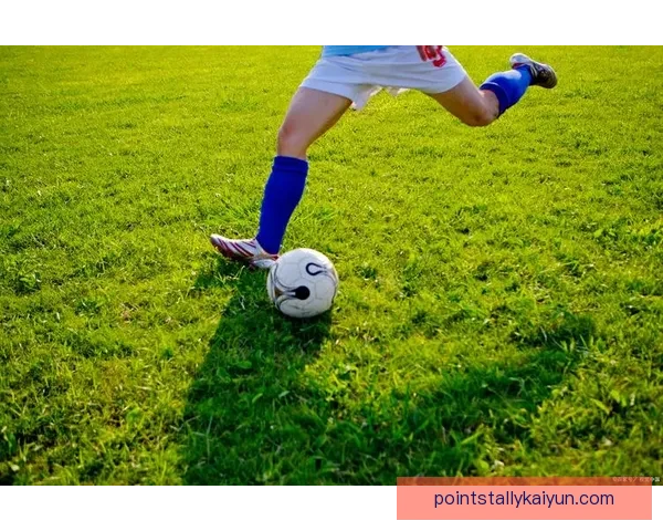 匈牙利队服红白绿设计引发球迷热议，体现国家文化与足球精神