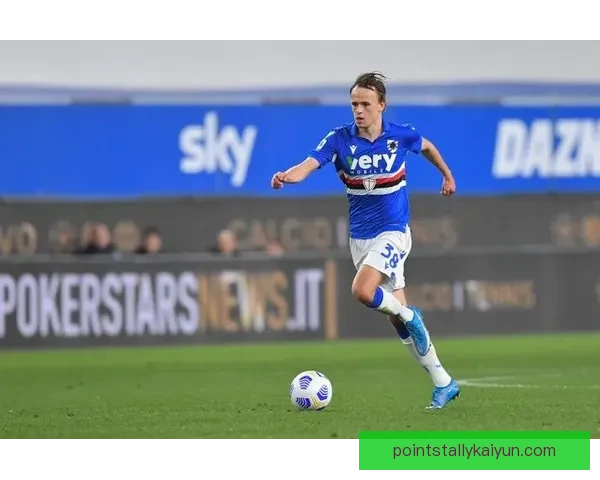 达姆斯高盘带风格特点解析：技术细腻突破犀利